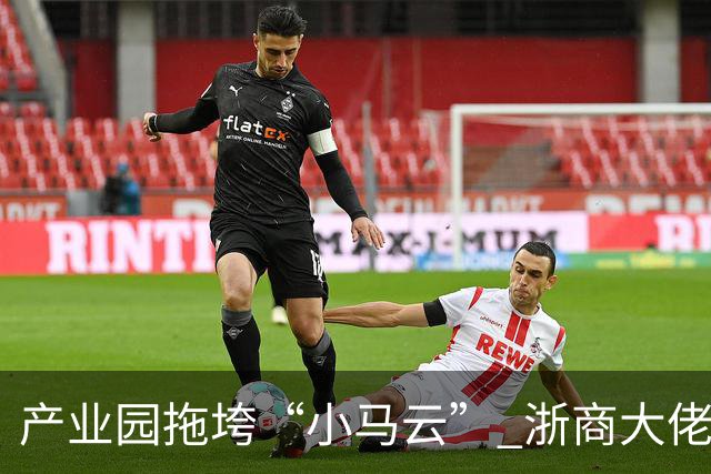 产业园拖垮“小马云” 浙商大佬被立案侦查
