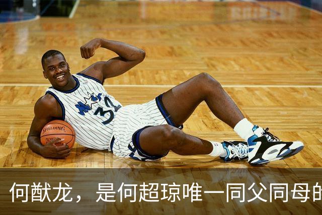 何猷龙，是何超琼唯一同父同母的亲弟弟