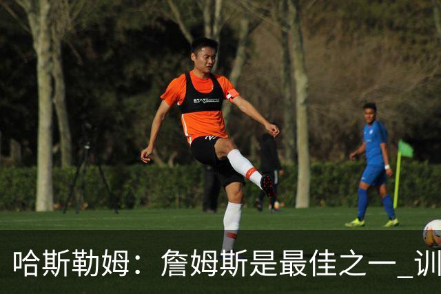 哈斯勒姆：詹姆斯是最佳之一 训练中他能让全队包括韦德都看呆
