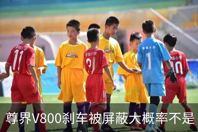 尊界V800刹车被屏蔽大概率不是“适配没跟上”的技术疏忽。