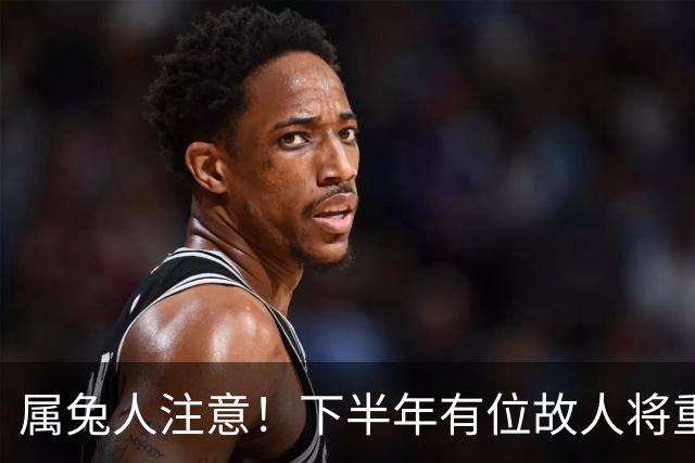 属兔人注意！下半年有位故人将重返你的生活，是福是考验？