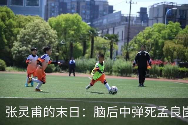 张灵甫的末日：脑后中弹死孟良崮，蒋介石悲伤不已，陈毅下令安葬