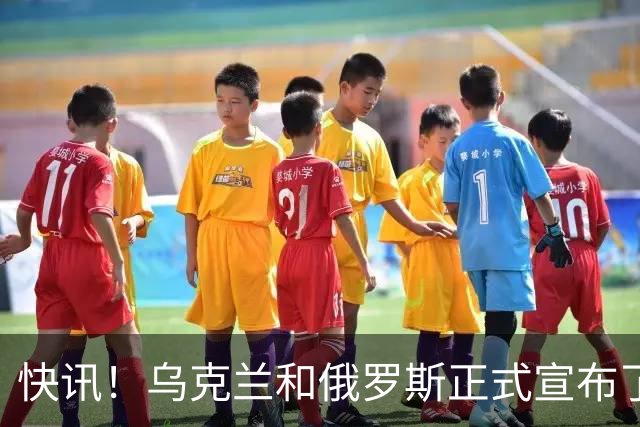 快讯！乌克兰和俄罗斯正式宣布了！