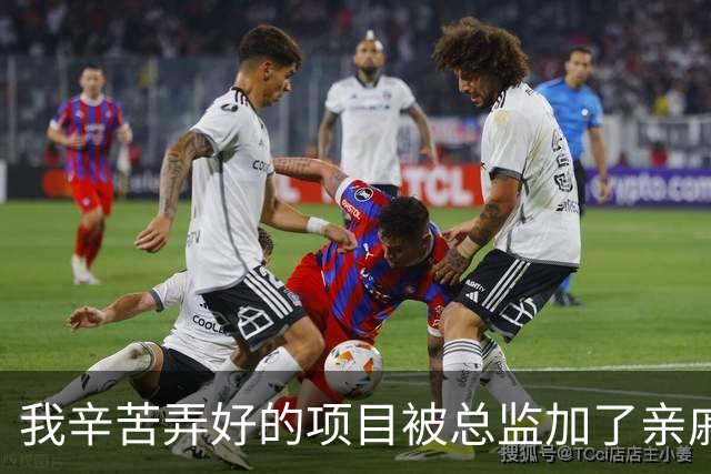 我辛苦弄好的项目被总监加了亲戚名，开大会时老板点我上台讲，我笑着摆手说：我只是打杂的，一句讲不明白