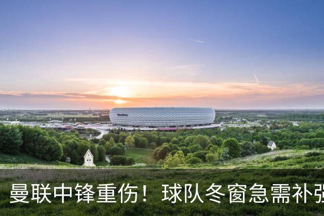 曼联中锋重伤！球队冬窗急需补强，4大锋将进入红魔引援名单