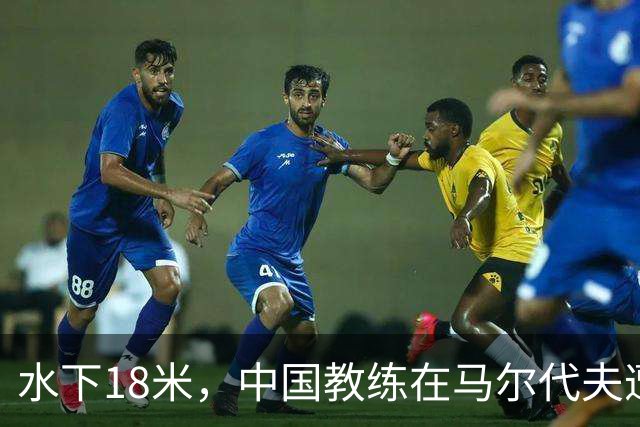 水下18米，中国教练在马尔代夫遭3名外籍潜水员围攻，拉拽、踢踹，呼吸调节器和面镜差点被摘！涉事船宿方：已提交调查