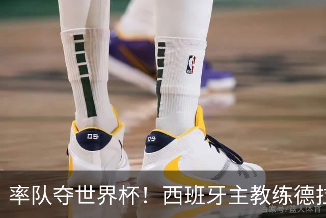 率队夺世界杯！西班牙主教练德拉富恩特获年度最佳主帅