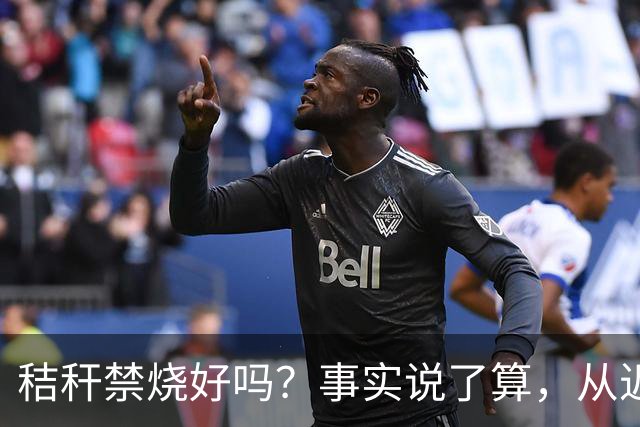 秸秆禁烧好吗？事实说了算，从近年蚯蚓鸟类和蛇类数量就可看出来