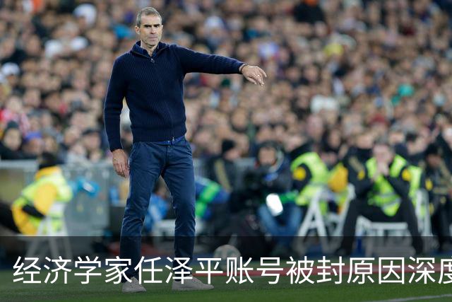 经济学家任泽平账号被封原因深度分析