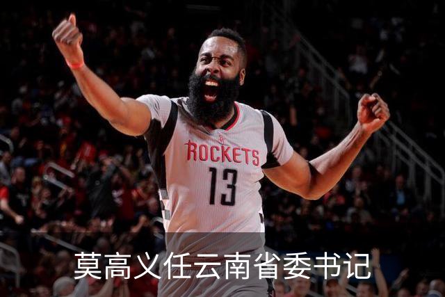 莫高义任云南省委书记