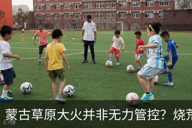 蒙古草原大火并非无力管控？烧荒能增加土壤肥力，是真的吗？长远看有什么影响？