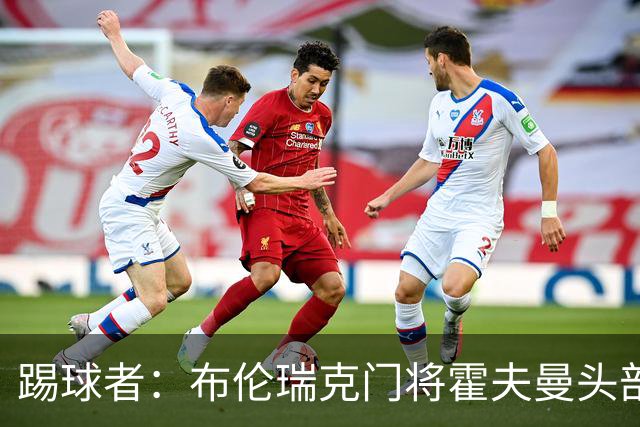 踢球者：布伦瑞克门将霍夫曼头部受伤无大碍，可出战比勒费尔德
