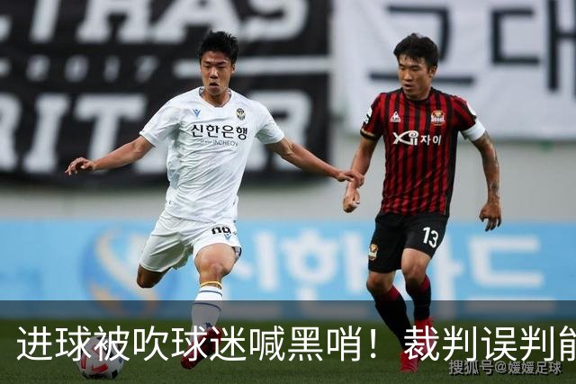 进球被吹球迷喊黑哨！裁判误判能起诉要求重赛吗？
