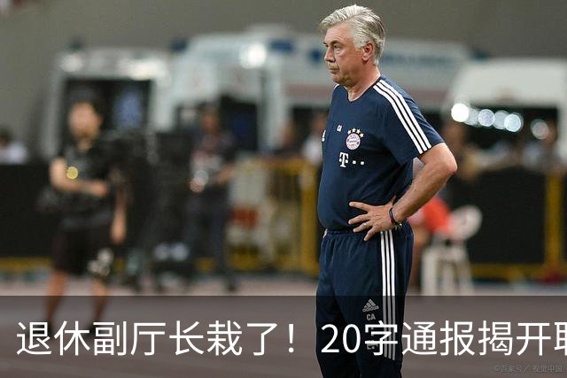 退休副厅长栽了！20字通报揭开职称黑幕，多少教师输在五分钟答辩
