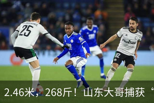 2.46米，268斤！山东大哥捕获“鲅鱼王”：常见鲅鱼仅几斤到十几斤，已被水产公司收购，将做成鲅鱼水饺